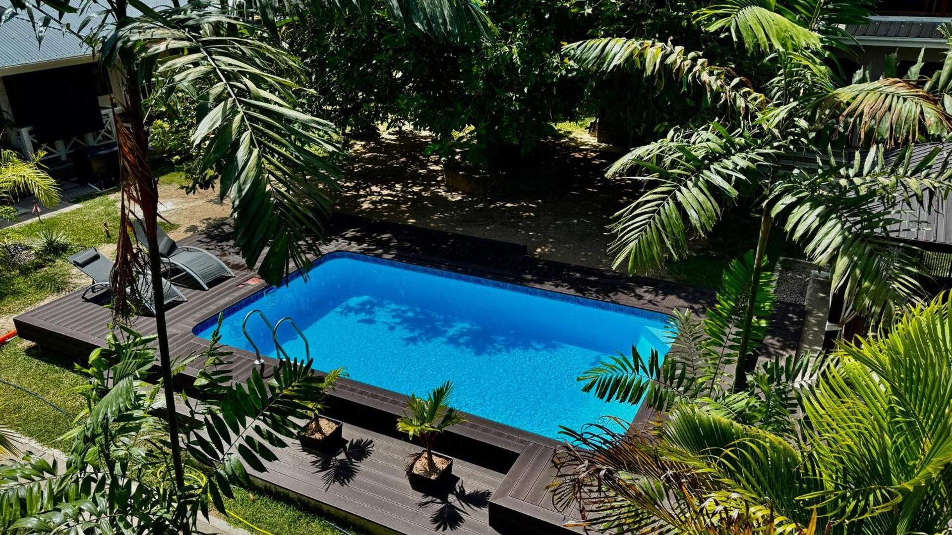 AliBel Beach Villa'nın havuzu, Anse à la Mouche'taki bahçenin palmiyeleri arasından yukarıdan, Mahé