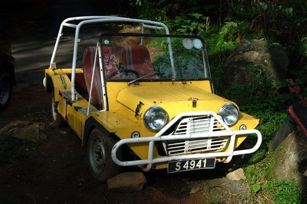 Yoğun yeşilin altında kayalık bir kenarda park etmiş, boru çerçeveli ve beyaz tamponlu sarı klasik Mini Moke