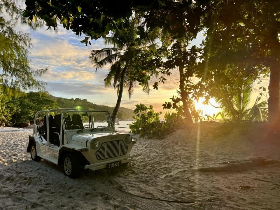 Takamaka ağaçlarının altında kumda park etmiş açık renk modern Mini Moke, dalların arasından batan güneş